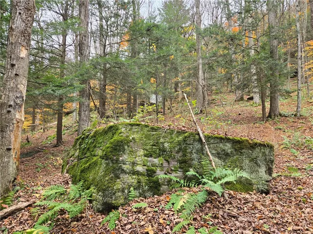$24,990 | Lot 7 County Highway, Margaretville, NY 12455