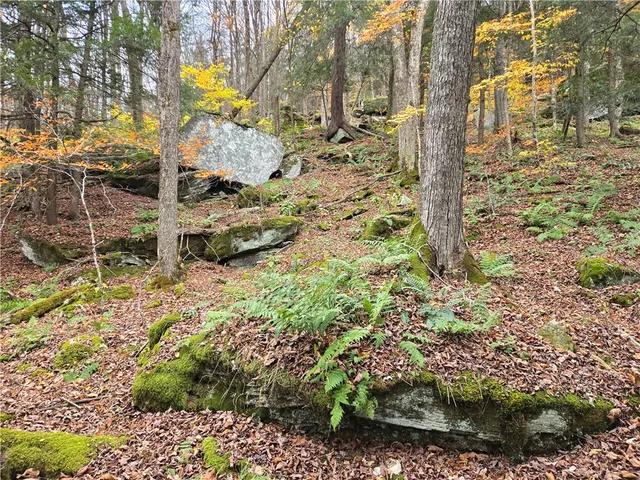 $24,990 | Lot 7 County Highway, Margaretville, NY 12455