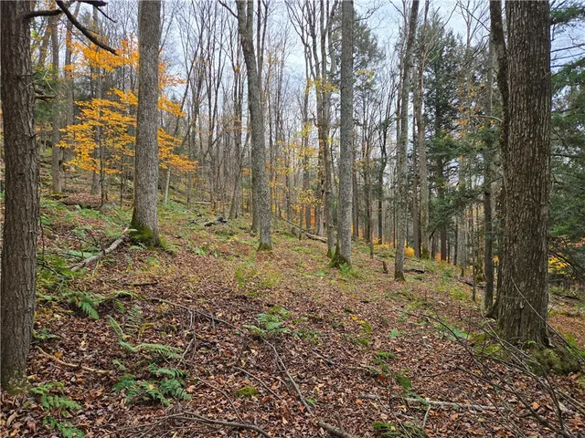 $24,990 | Lot 7 County Highway, Margaretville, NY 12455
