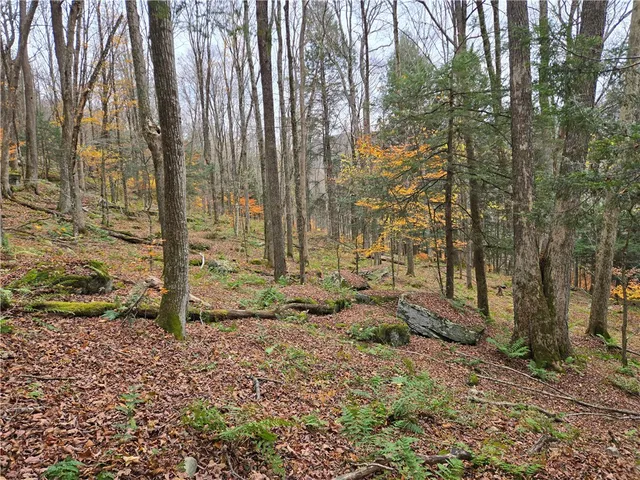 $24,990 | Lot 7 County Highway, Margaretville, NY 12455