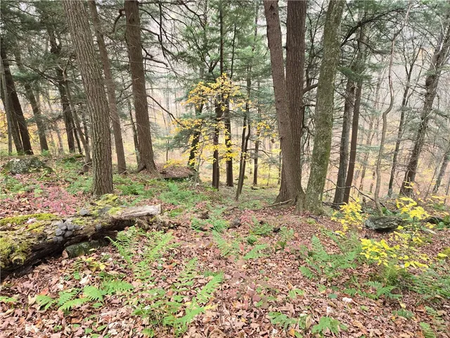 $24,990 | Lot 7 County Highway, Margaretville, NY 12455