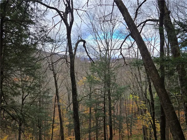 $24,990 | Lot 7 County Highway, Margaretville, NY 12455