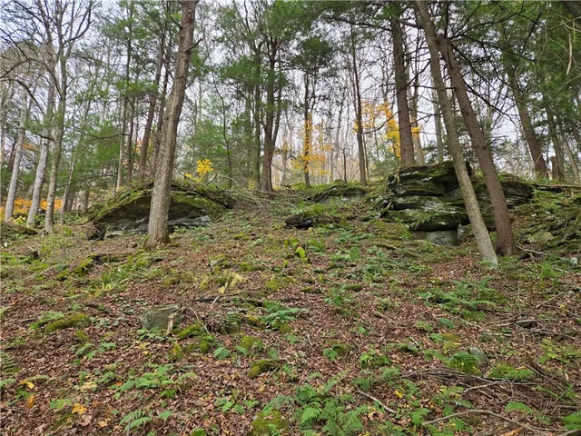 $24,990 | Lot 7 County Highway, Margaretville, NY 12455