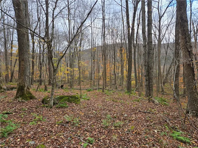 $24,990 | Lot 7 County Highway, Margaretville, NY 12455
