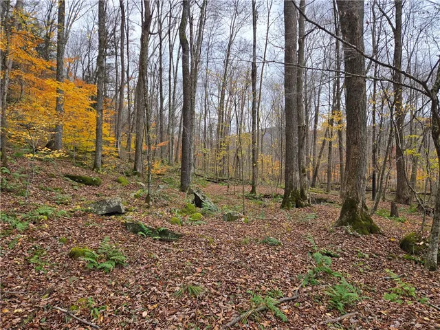 $24,990 | Lot 7 County Highway, Margaretville, NY 12455