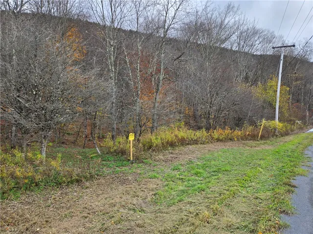 $24,990 | Lot 7 County Highway, Margaretville, NY 12455
