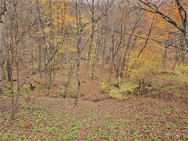 $24,990 | Lot 7 County Highway, Margaretville, NY 12455