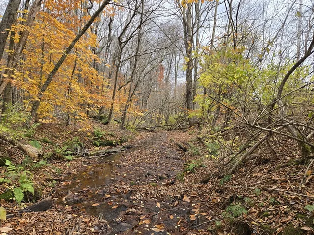 $24,990 | Lot 7 County Highway, Margaretville, NY 12455