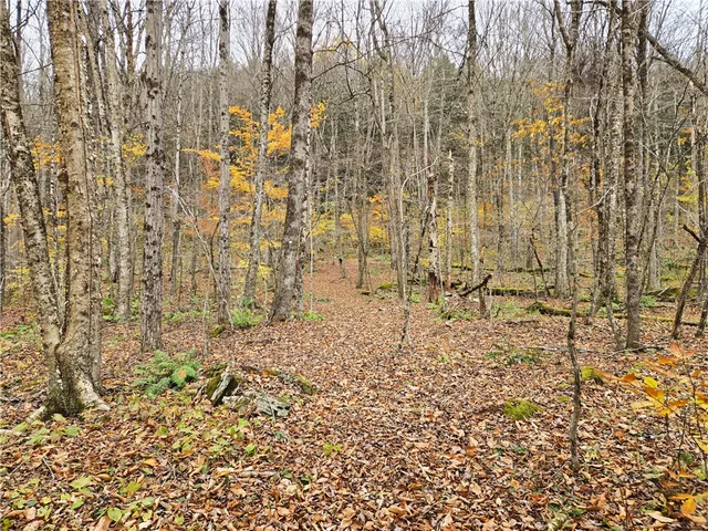 $24,990 | Lot 7 County Highway, Margaretville, NY 12455