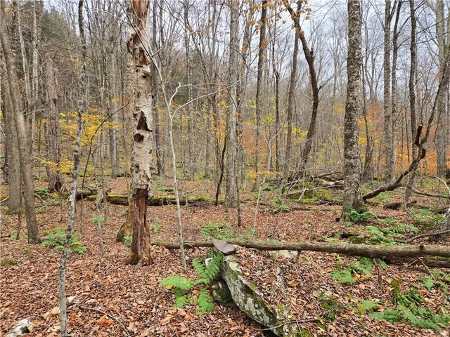 $24,990 | Lot 7 County Highway, Margaretville, NY 12455