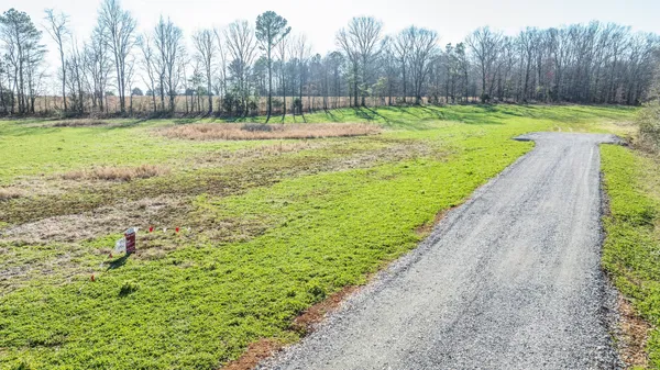 a view of a backyard with large trees