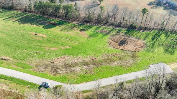 a view of a garden with a yard and plants