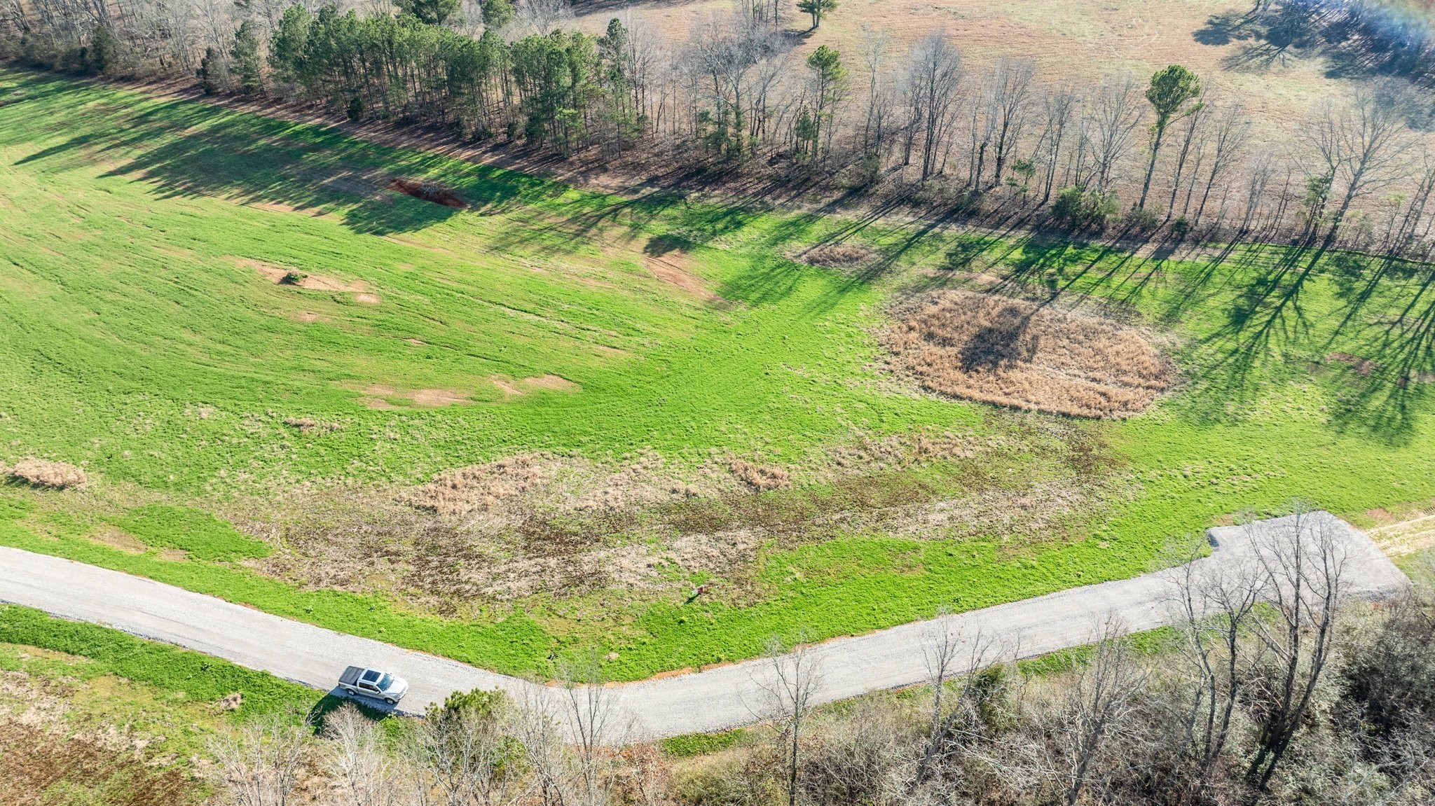 0 Fall River Road Leoma, TN 38468 - Photo 5 of 7 a view of a garden with a yard and plants
