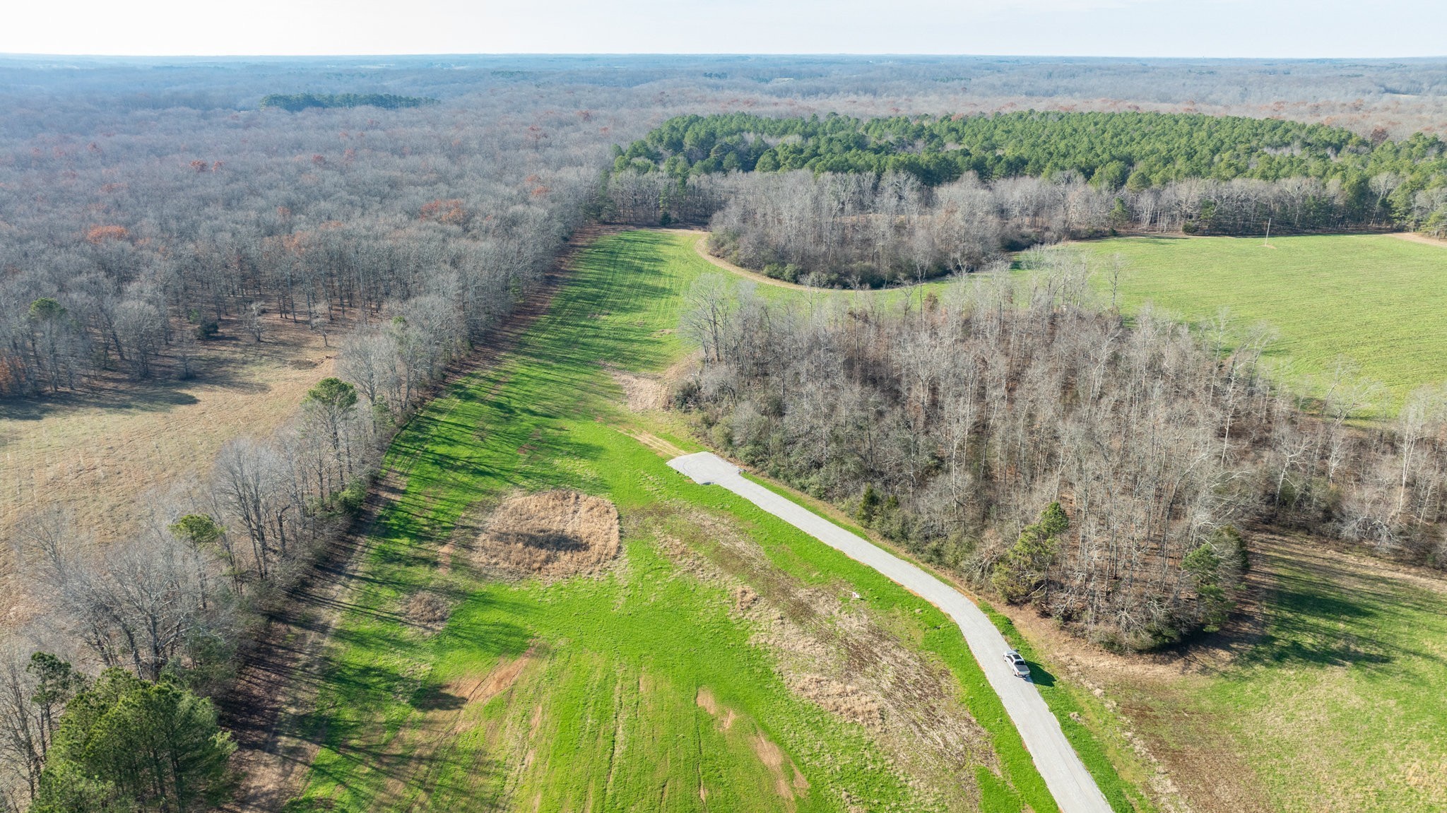 0 Fall River Road Leoma, TN 38468 - Photo 6 of 7 a view of a back yard
