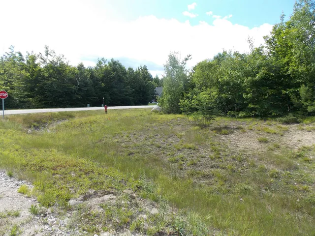 $174,900 | 0 Grandview Road, Unit LOT #98 ON TREE, Conway, NH 03818