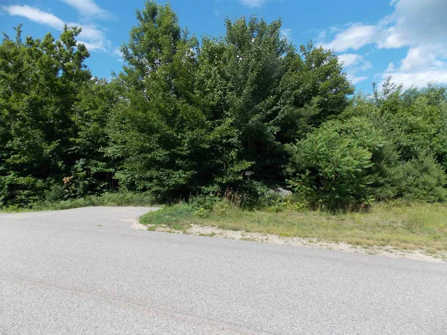 $174,900 | 0 Grandview Road, Unit LOT #98 ON TREE, Conway, NH 03818