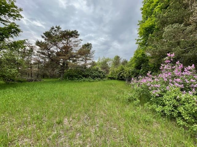 8530 Homestead Road Benzonia, MI 49616 - Photo 61 of 69