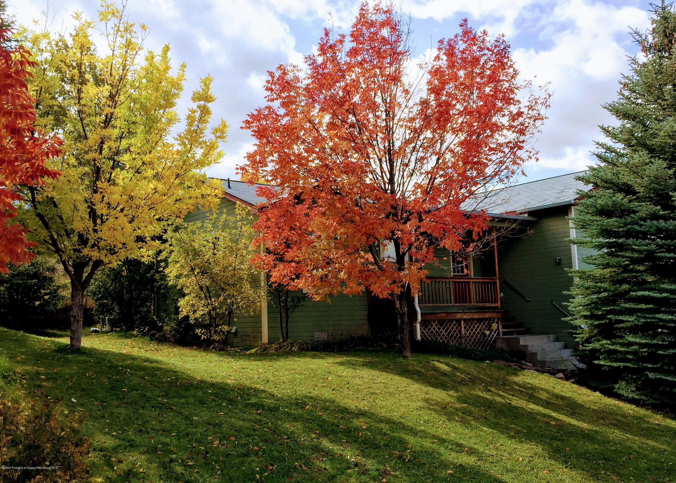 1367 Firethorn Drive Rifle, CO 81650 - Photo 4 of 23 IMG_3782