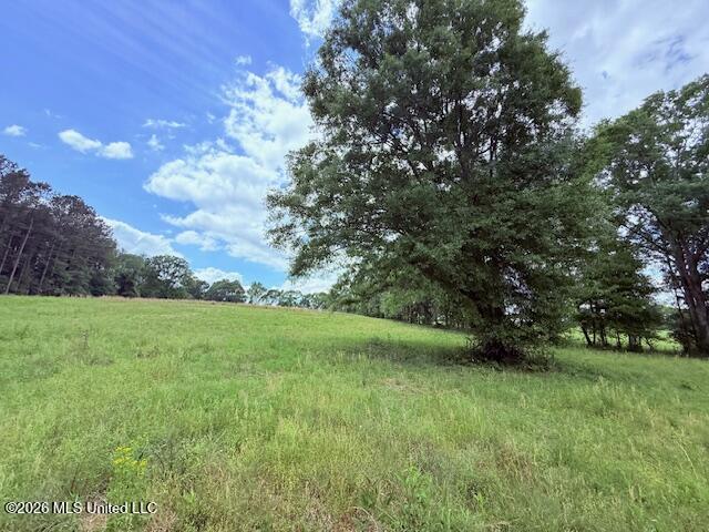 37 Fortenberry Road Tylertown, MS 39667 - Photo 59 of 83 IMG_3692 - Copy