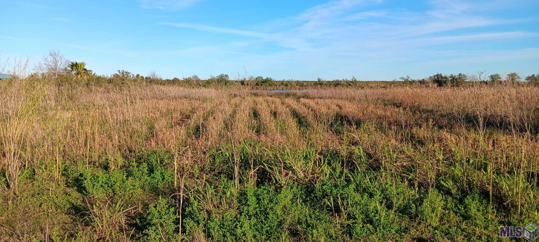 6703 Highway 56 Chauvin, LA 70344 - Photo 6 of 7