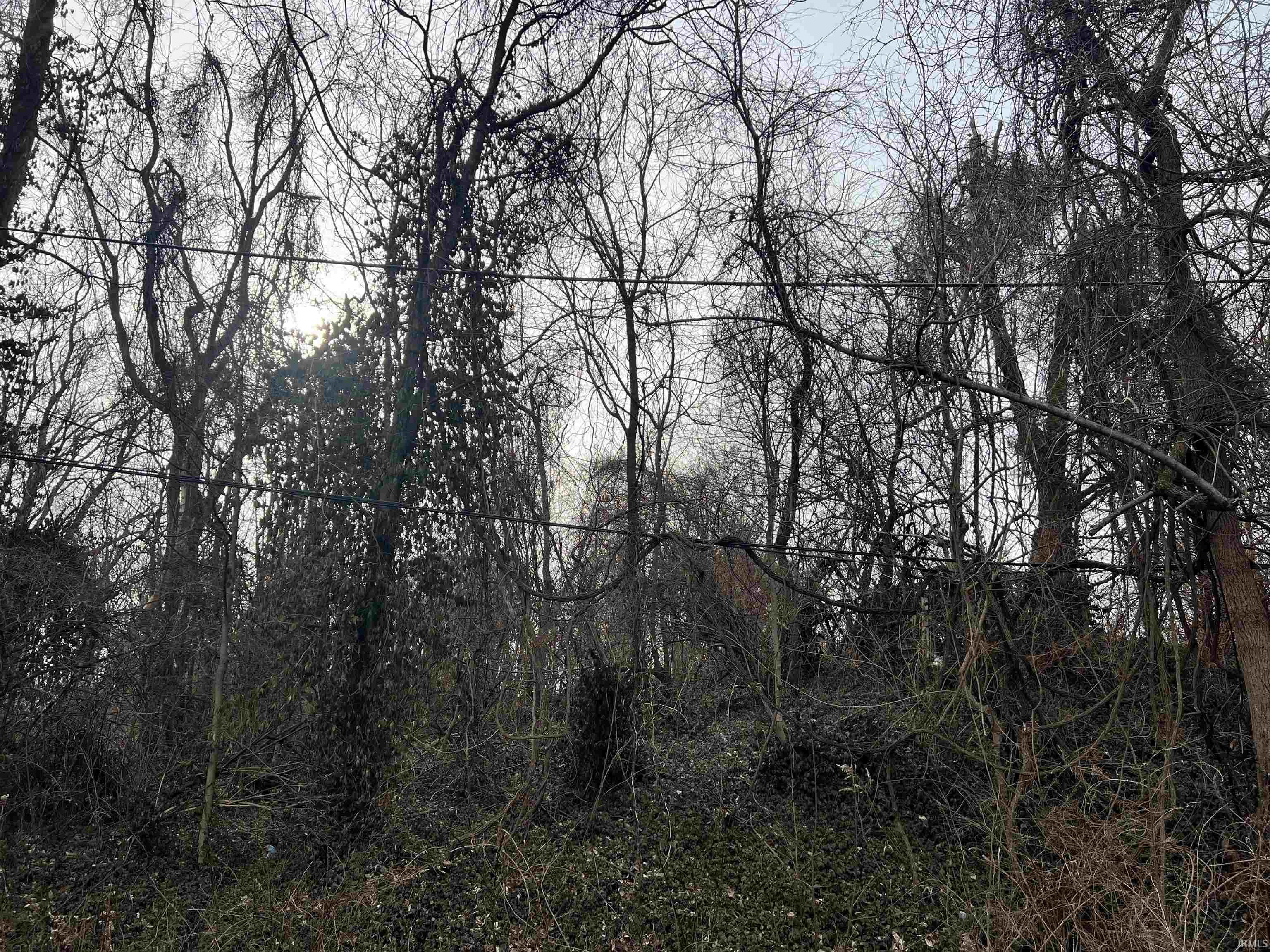 1197 Roush Avenue Vincennes, IN 47591 - Photo 2 of 4