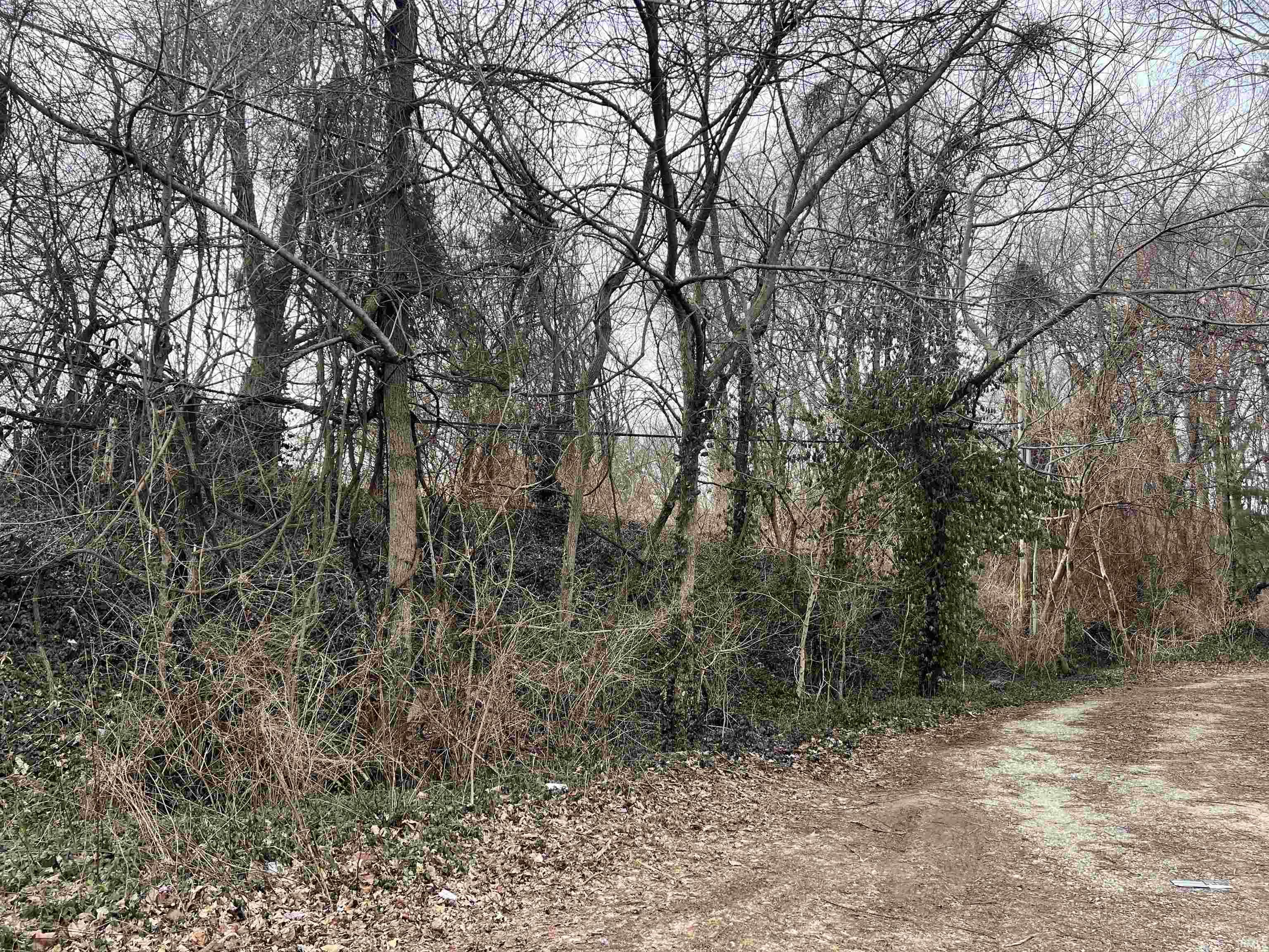 1197 Roush Avenue Vincennes, IN 47591 - Photo 3 of 4