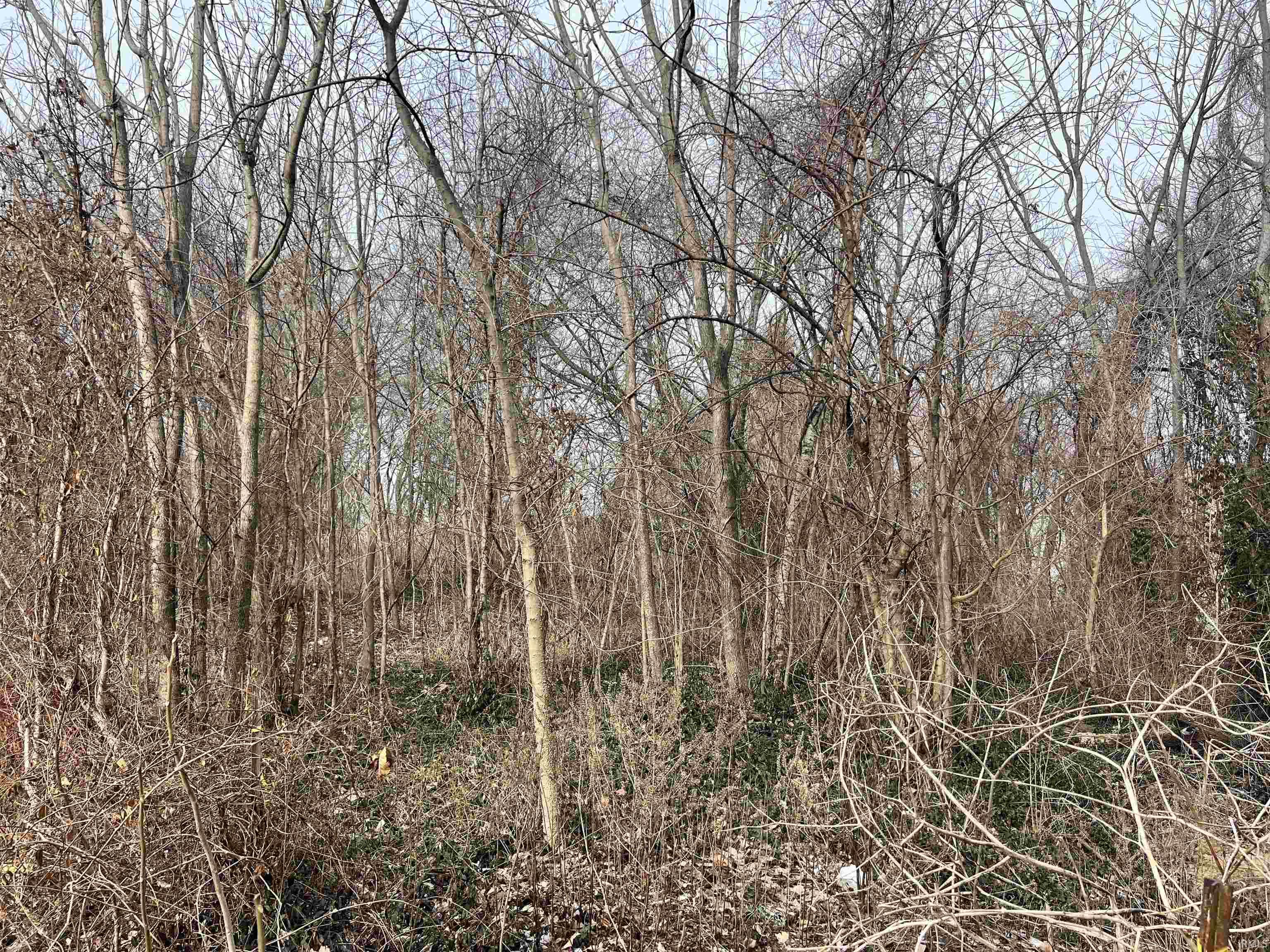 1197 Roush Avenue Vincennes, IN 47591 - Photo 4 of 4