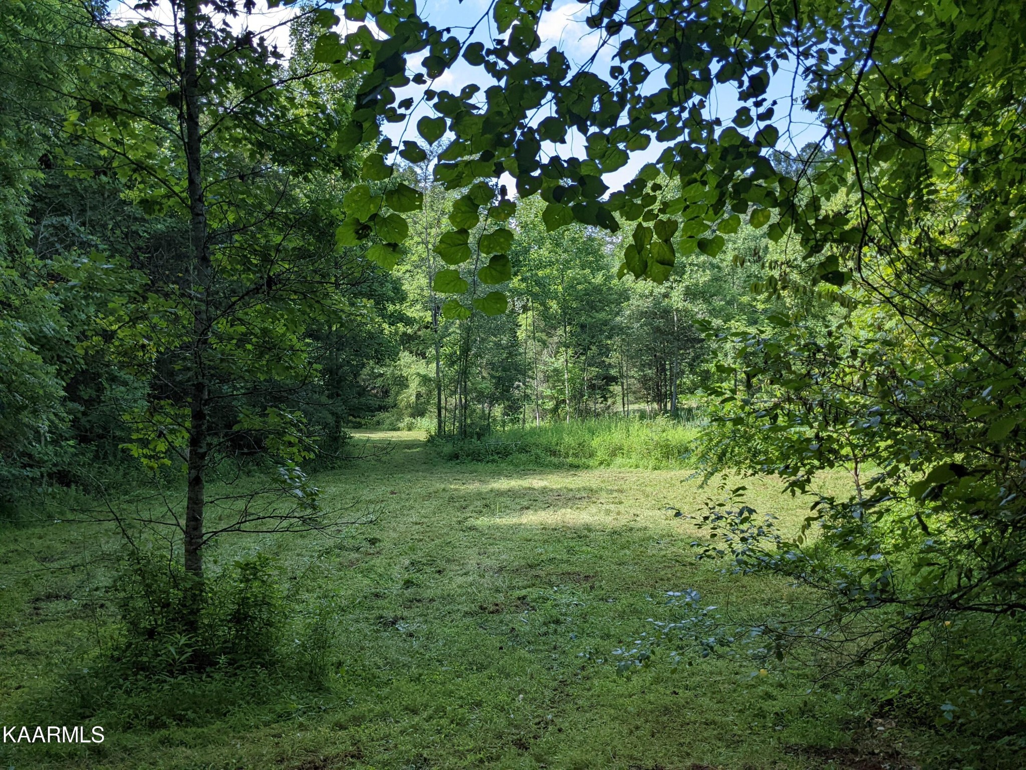 0 Byrd Road Sneedville, TN 37869 - Photo 1 of 27 Gallery Image 1