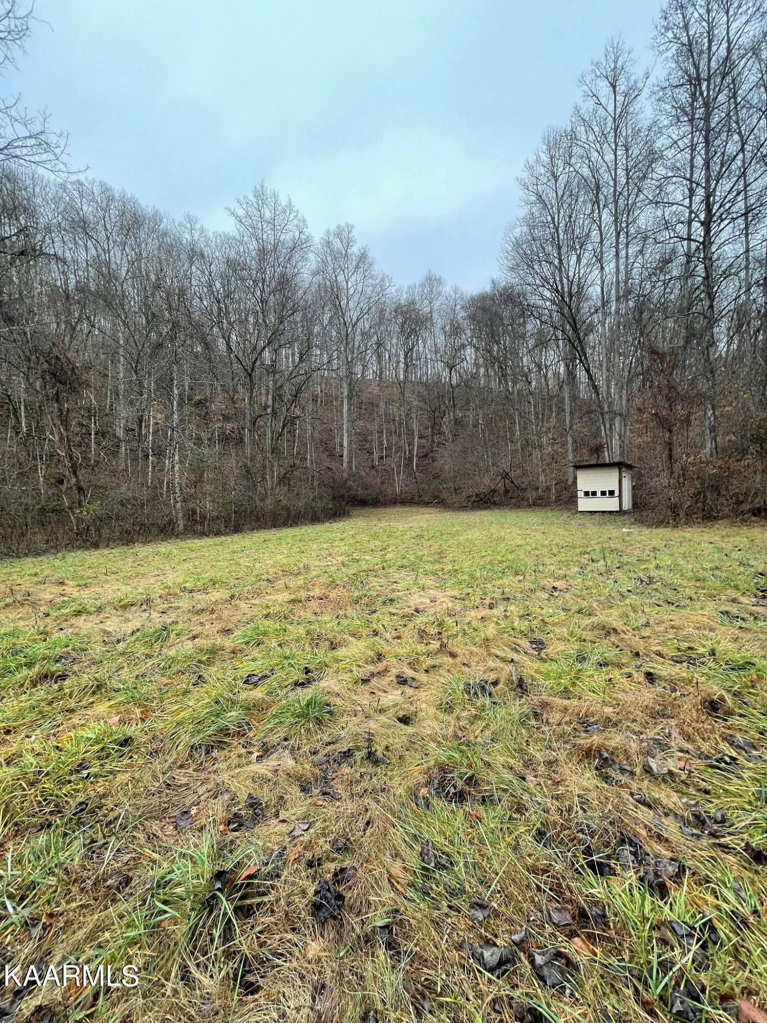 0 Byrd Road Sneedville, TN 37869 - Photo 14 of 27 Gallery Image 14