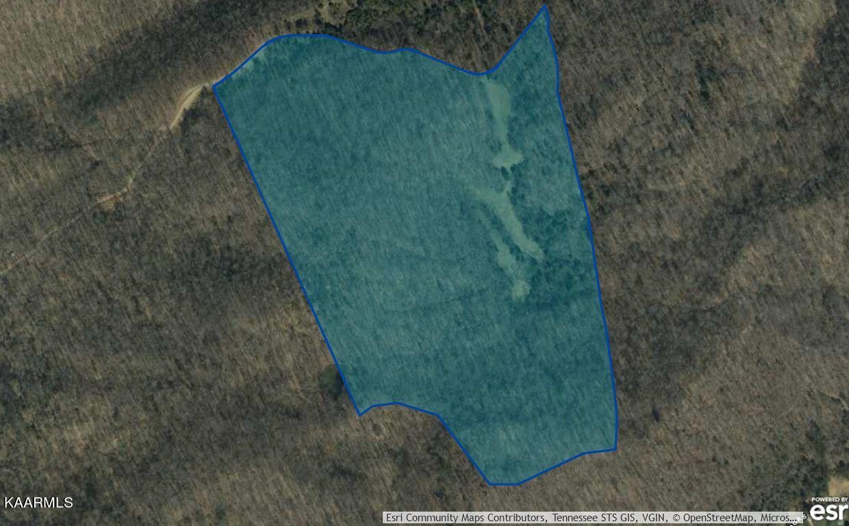 0 Byrd Road Sneedville, TN 37869 - Photo 2 of 27 Gallery Image 2