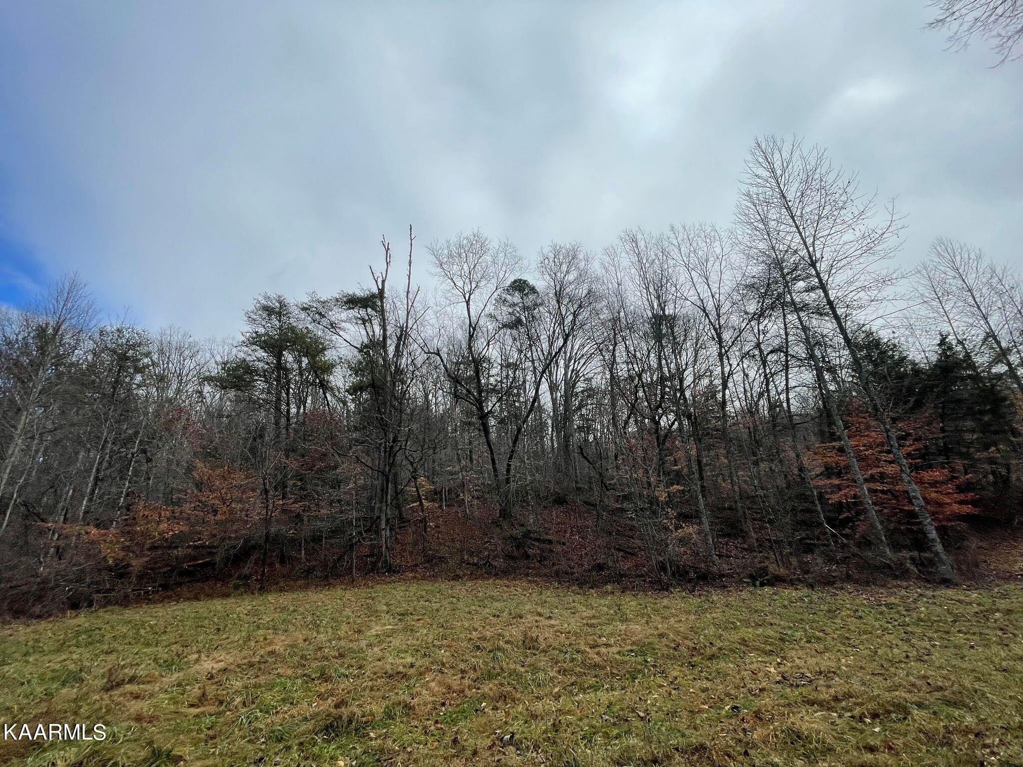 0 Byrd Road Sneedville, TN 37869 - Photo 23 of 27 Gallery Image 23