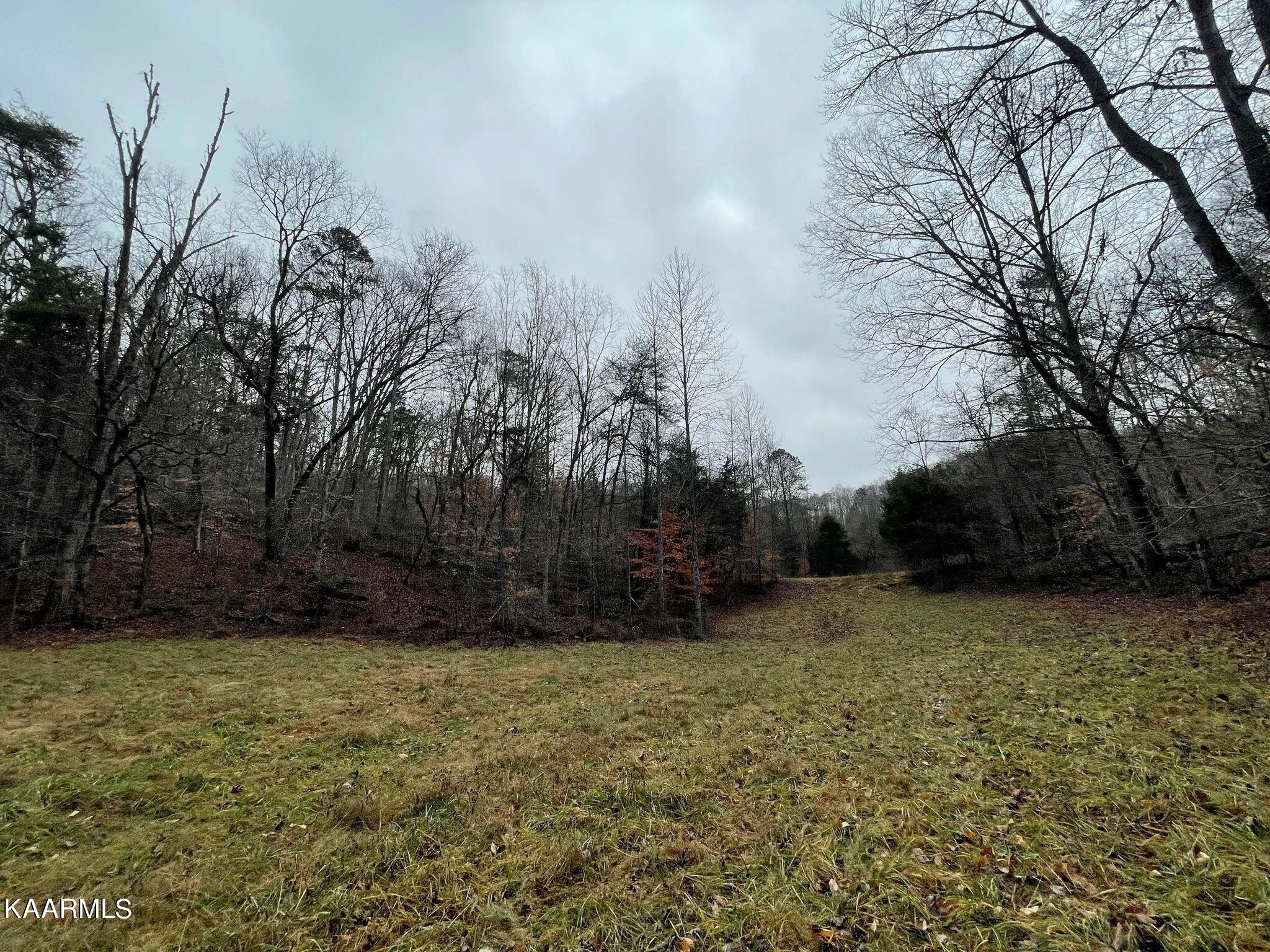 0 Byrd Road Sneedville, TN 37869 - Photo 24 of 27 Gallery Image 24