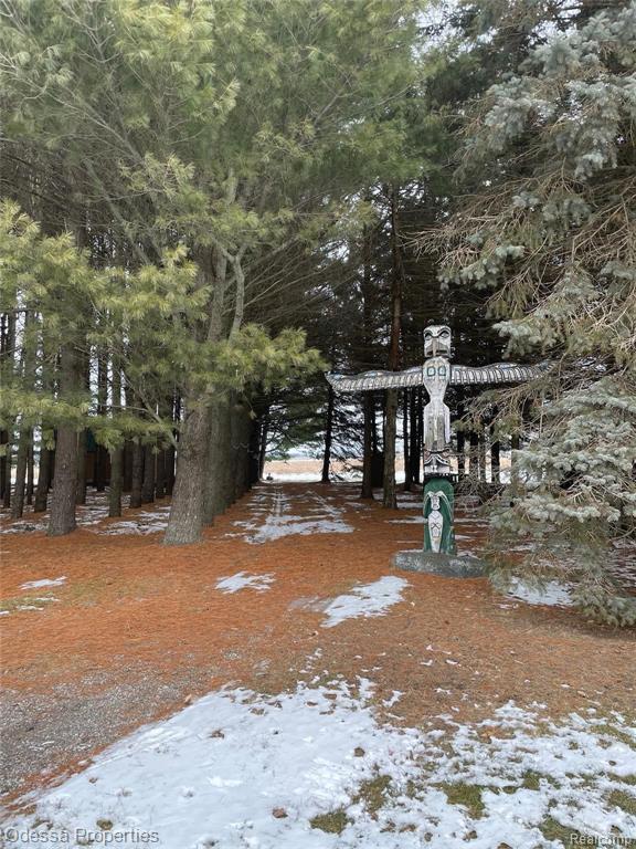 105 Seltzer Road Croswell, MI 48422 - Photo 78 of 84