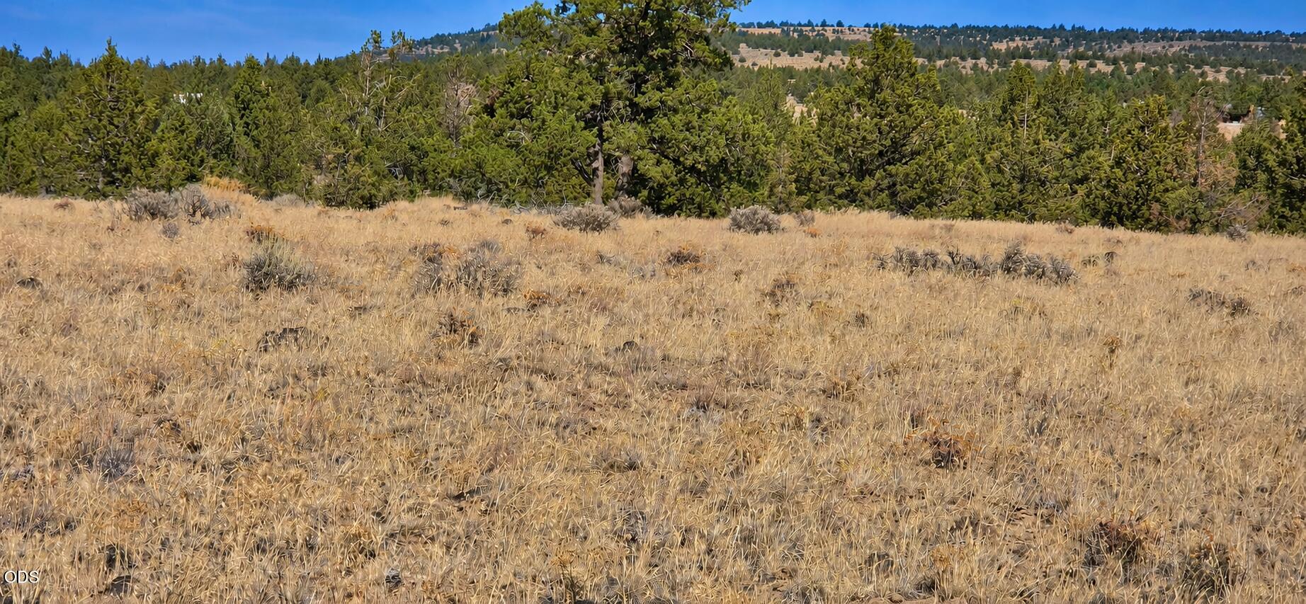 Southeast Iowa Road Prineville, OR 97754 - Photo 7 of 12 Gallery Image 7