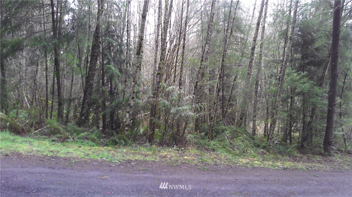 0 Holcomb Road Napavine, WA 98532 - Photo 2 of 9