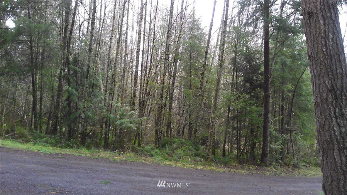 0 Holcomb Road Napavine, WA 98532 - Photo 3 of 9