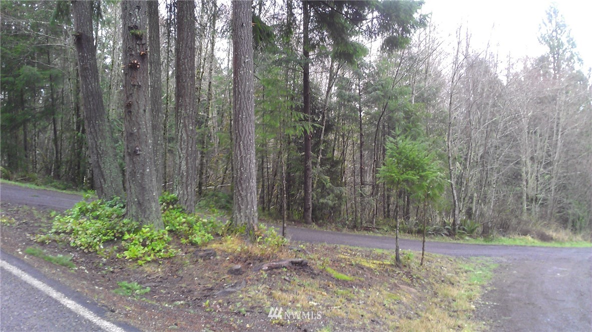 0 Holcomb Road Napavine, WA 98532 - Photo 4 of 9