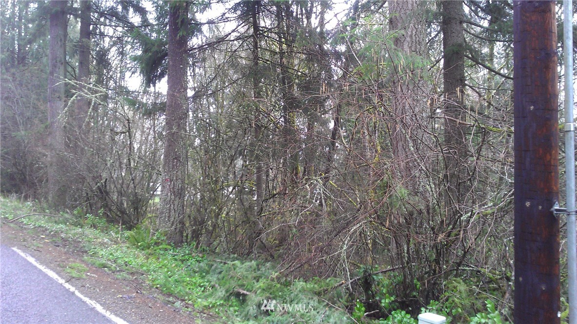 0 Holcomb Road Napavine, WA 98532 - Photo 5 of 9