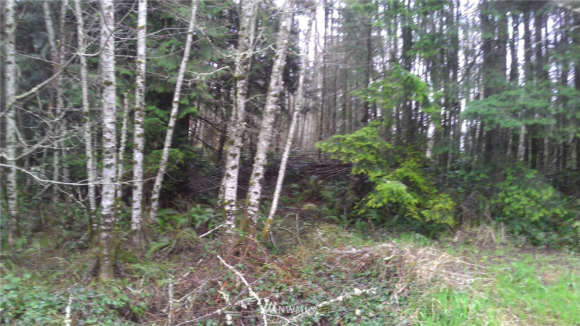 0 Holcomb Road Napavine, WA 98532 - Photo 6 of 9