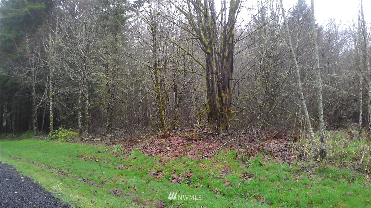 0 Holcomb Road Napavine, WA 98532 - Photo 7 of 9