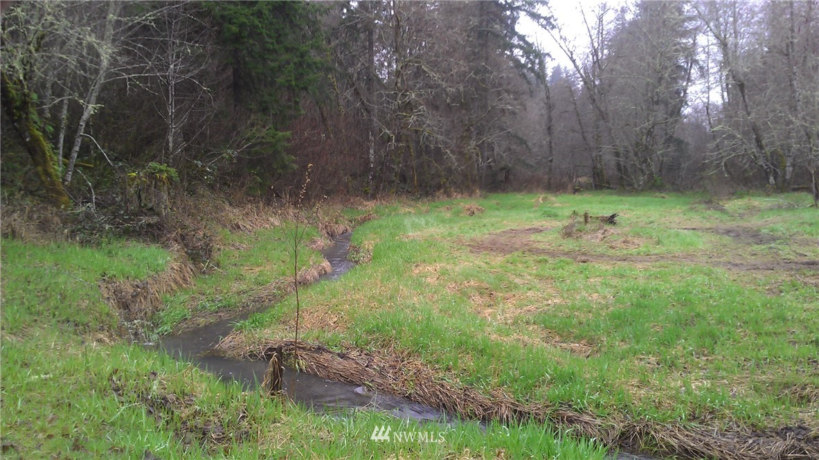 0 Holcomb Road Napavine, WA 98532 - Photo 8 of 9