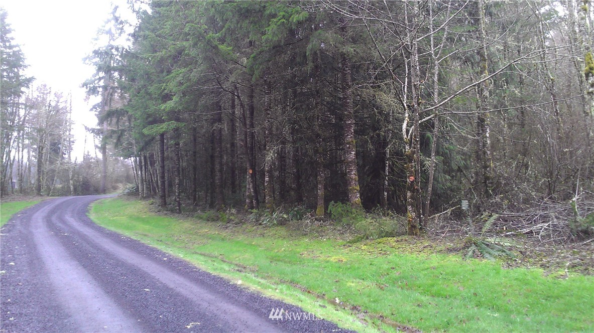 0 Holcomb Road Napavine, WA 98532 - Photo 9 of 9