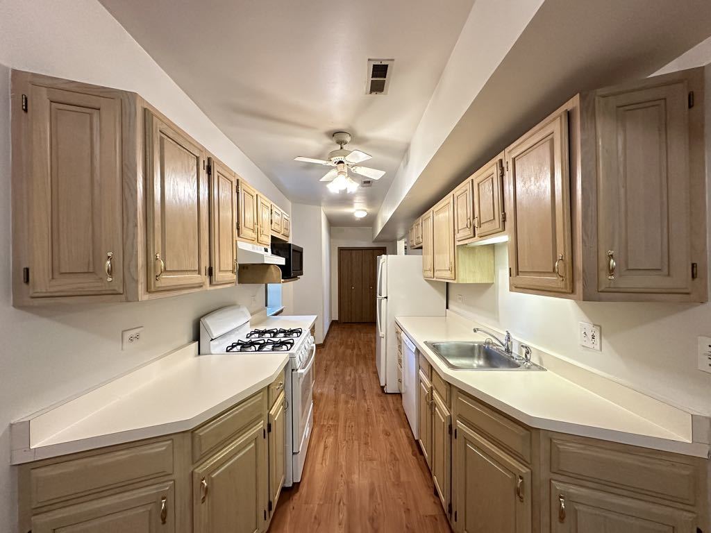 3832 North Fremont Street, Unit G Chicago, IL 60613 - Photo 2 of 20 a kitchen that has a sink and a stove in it