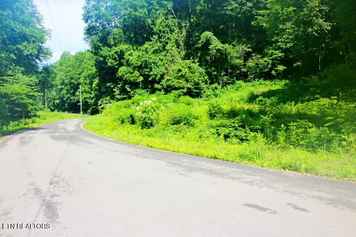 Tbd Carrs Creek Road Walland, TN 37886 - Photo 4 of 4 Lot 1 Carrs Creek 005