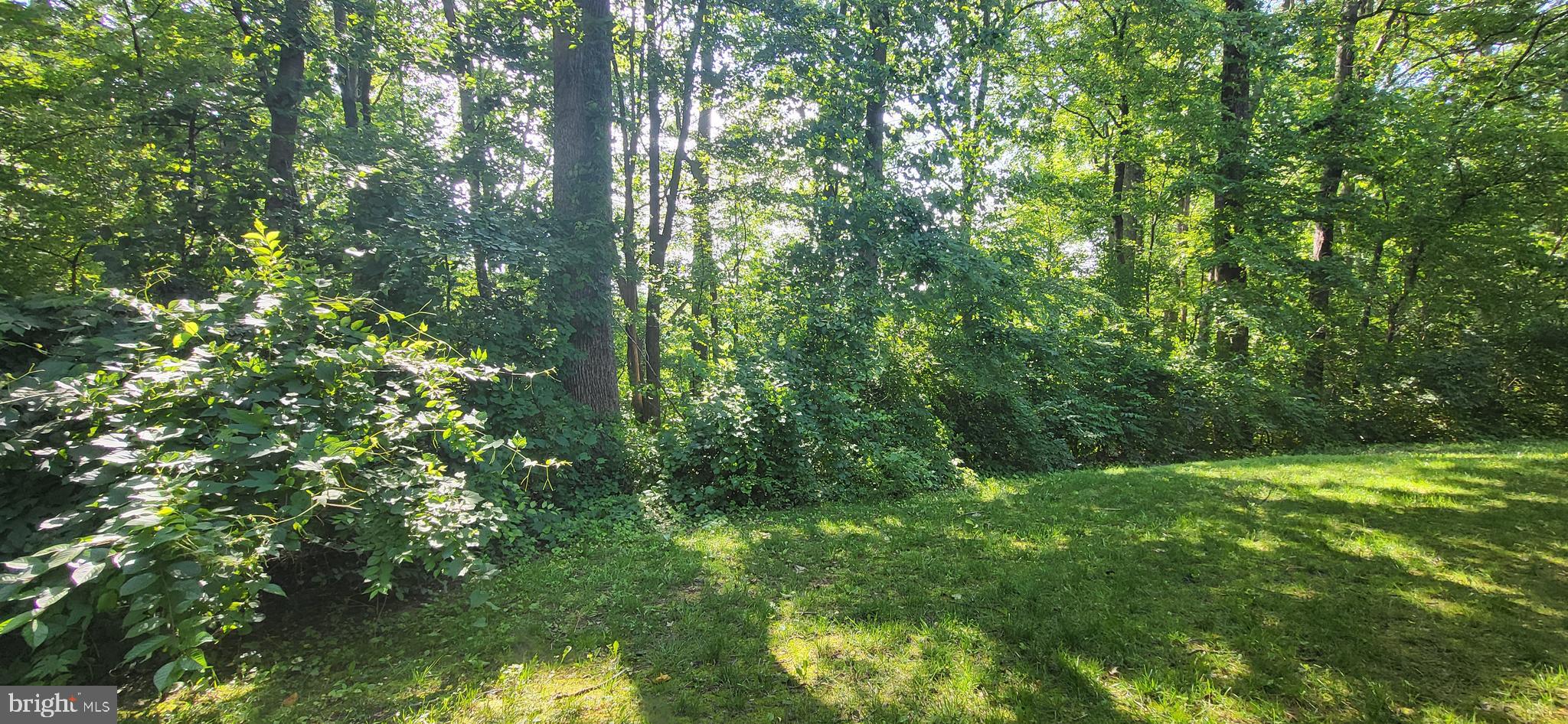 5806 Cove Landing Road, Unit 101 Burke, VA 22015 - Photo 84 of 92 Gallery Image 84
