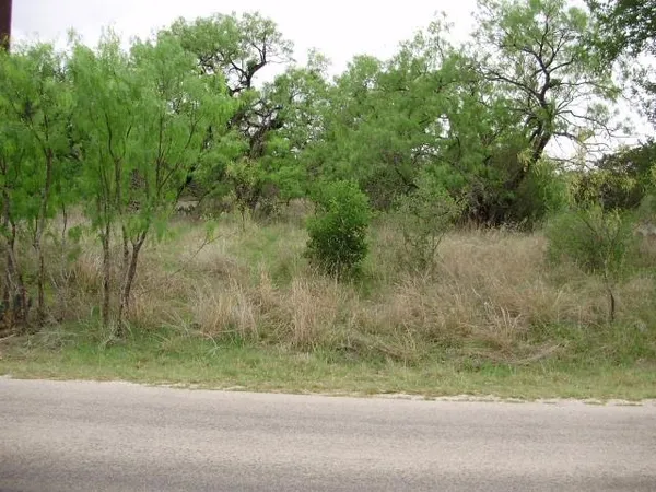 a view of a yard
