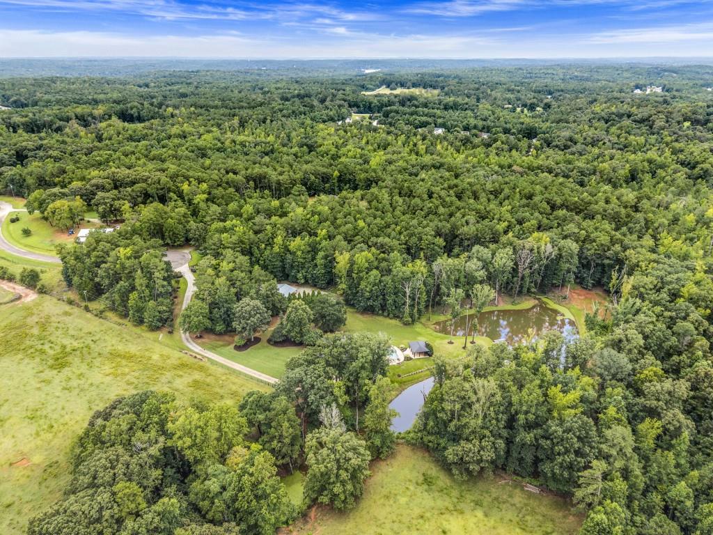 300 Potts Lane Covington, GA 30016 - Photo 5 of 76 a view of a green field with lots of bushes