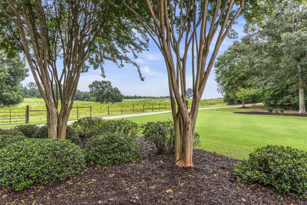 300 Potts Lane Covington, GA 30016 - Photo 53 of 76 a view of backyard with large trees