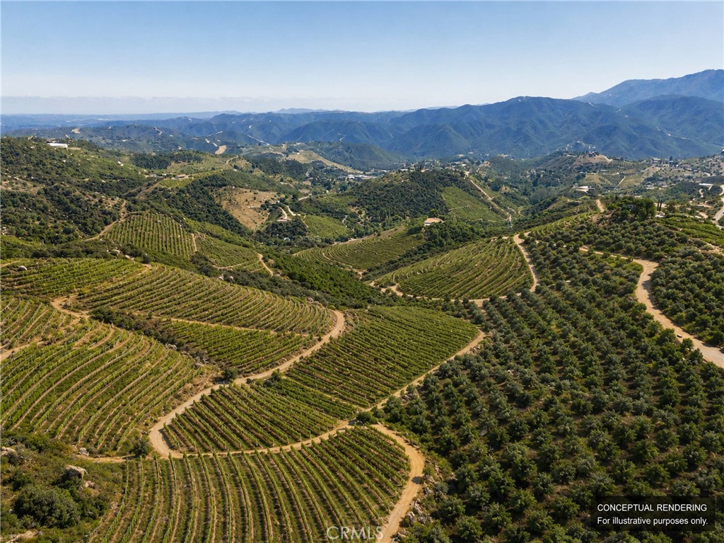 0 Harris Spur Fallbrook, CA 92028 - Photo 8 of 14