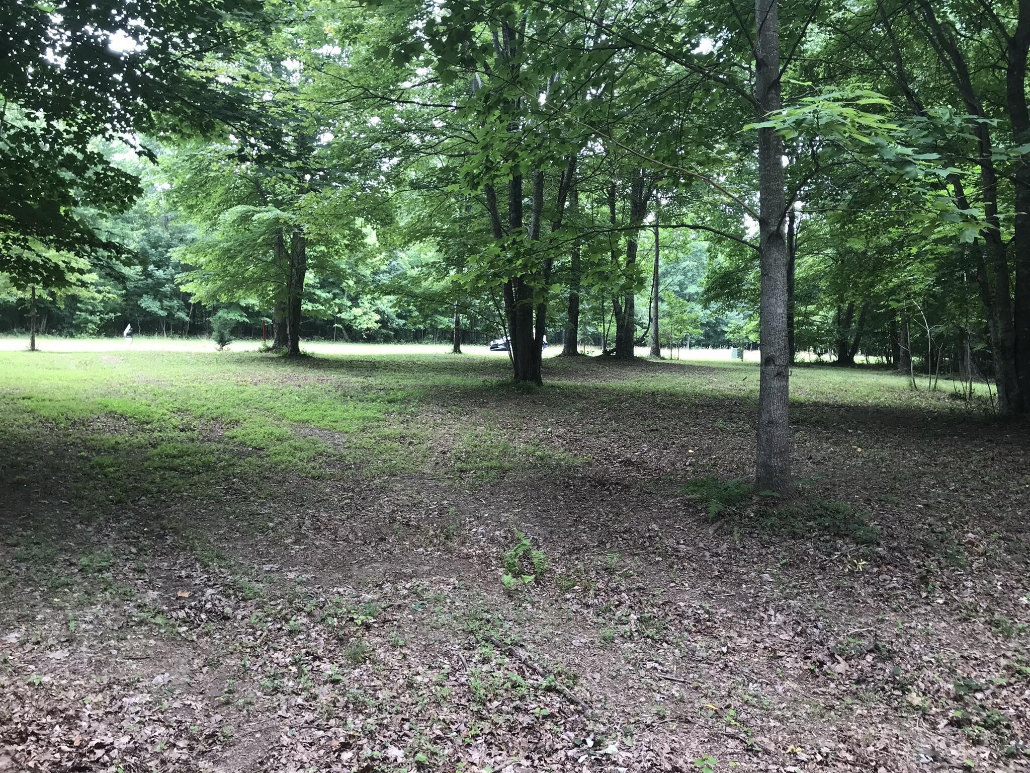 503 Wilderness Way Dunlap, TN 37327 - Photo 4 of 22